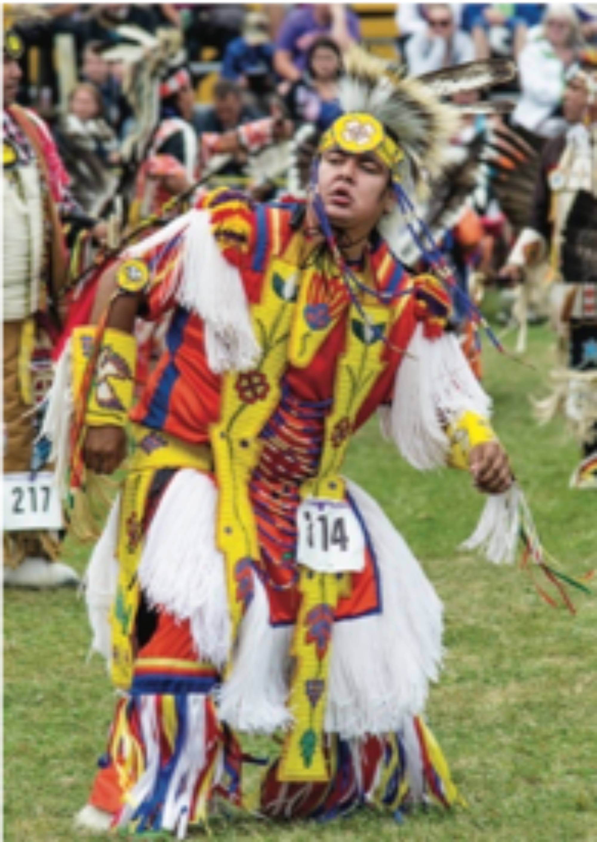 Native male wearing grass dancer regalia dancing at a Pow Wow